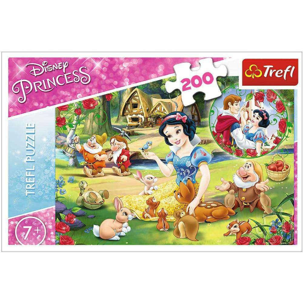 Trefl сложувалка Снежана, Сонот на љубовта