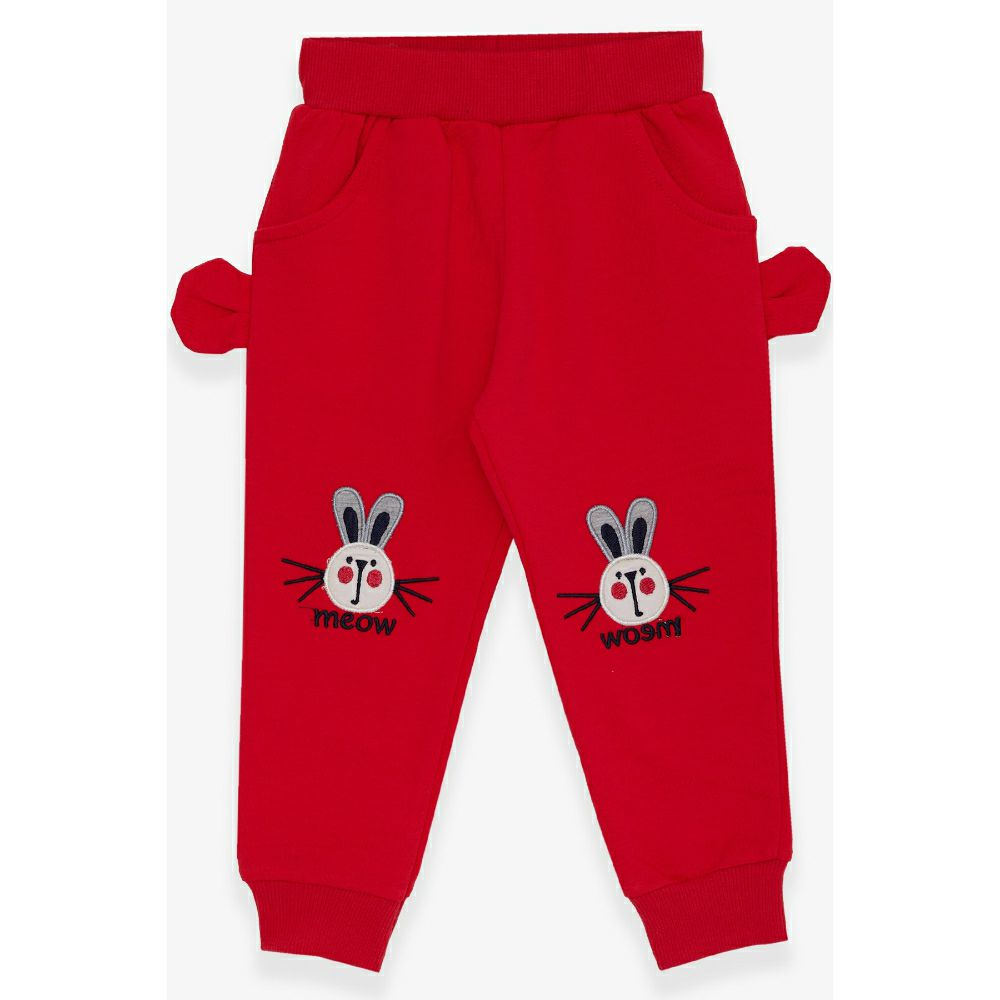 Долен дел тренерки