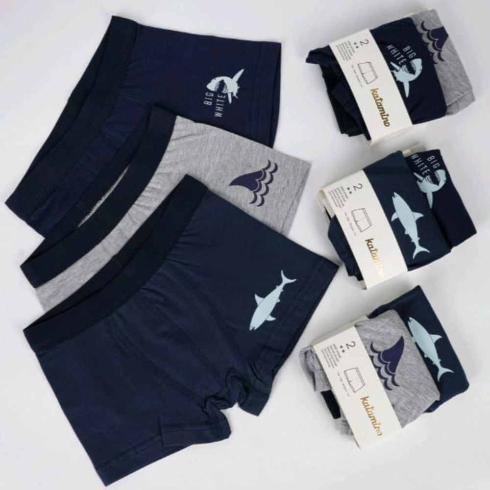 Килоти боксер