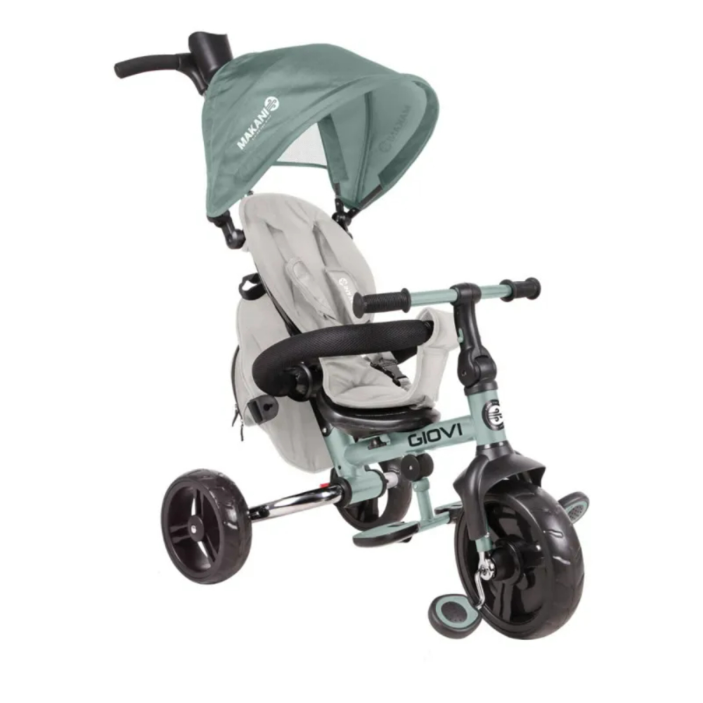 Трицикл Giovi Kikka Boo