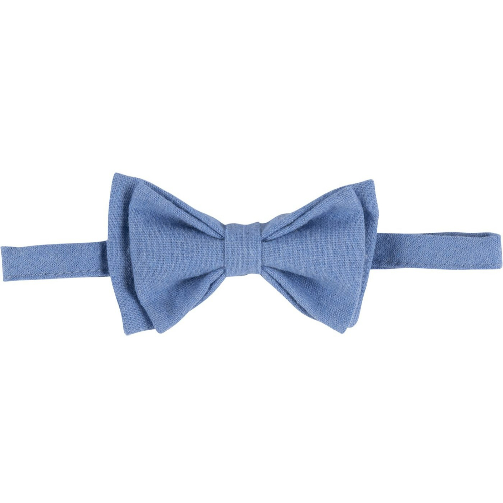 Лептир машна 